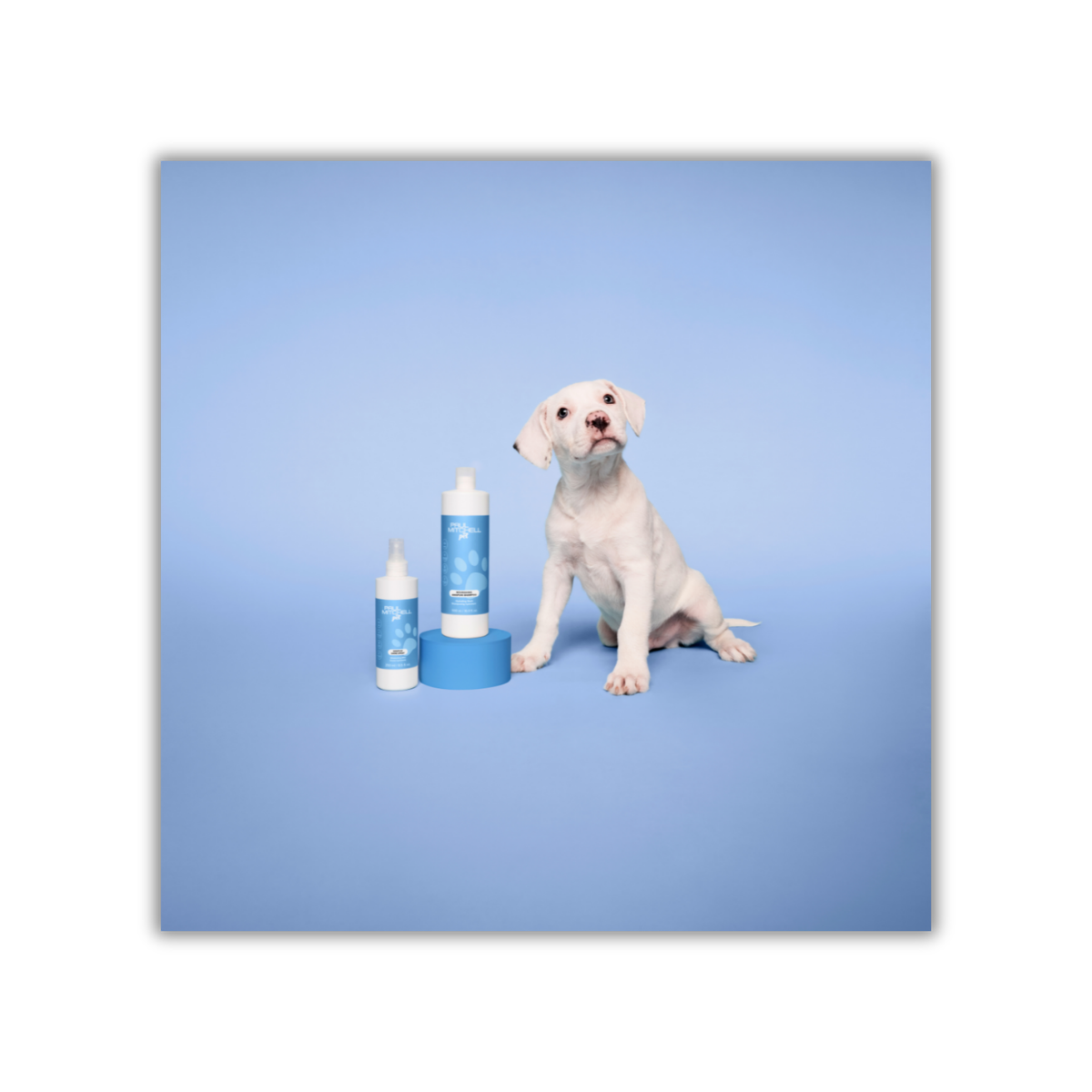 Paul Mitchell Pet Logo